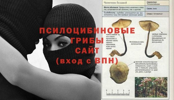 PSILOCYBIN Остров
