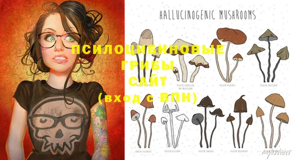 PSILOCYBIN Остров