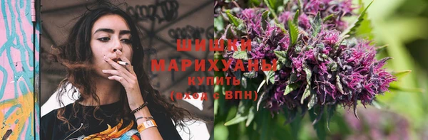 PSILOCYBIN Остров