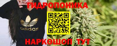 не бодяженный Балаково