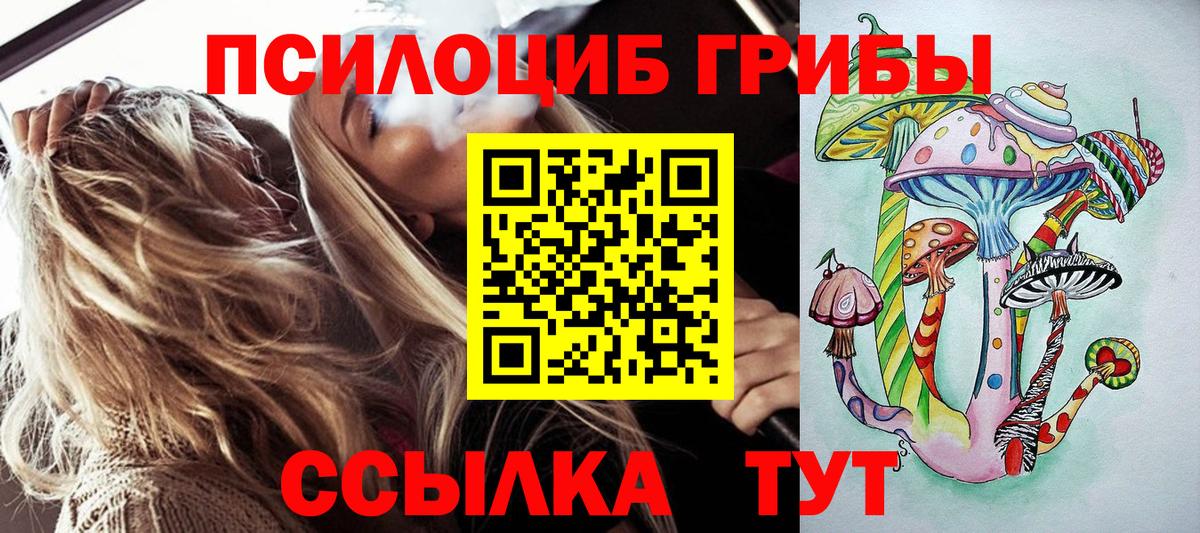 Псилоцибиновые грибы Psilocybe  Вход с VPN  Сорочинск 