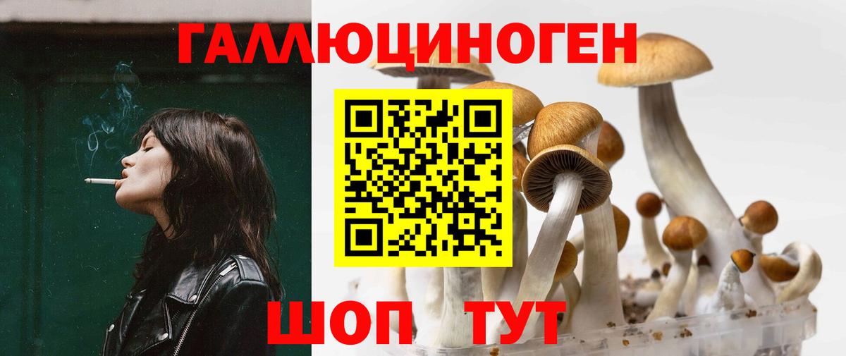 COCAIN  Сорочинск  Бошки Шишки  Кетамин  Мефедрон кристаллы  Кокаин  Вход с VPN  ГАШИШ 
